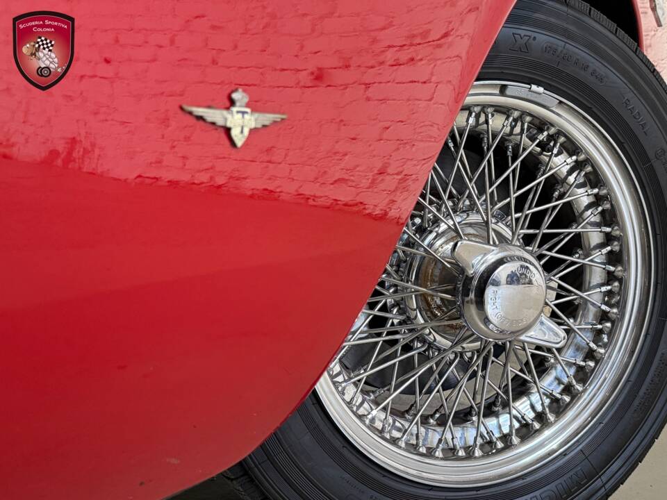 Bild 65/76 von Alfa Romeo 2600 Spider (1964)