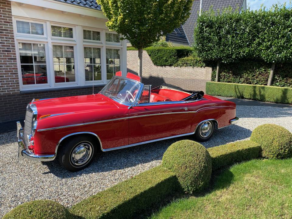 Immagine 3/25 di Mercedes-Benz 220 S Cabriolet (1959)