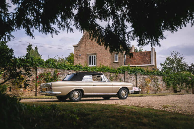 Image 11/50 of Mercedes-Benz 250 SE (1966)