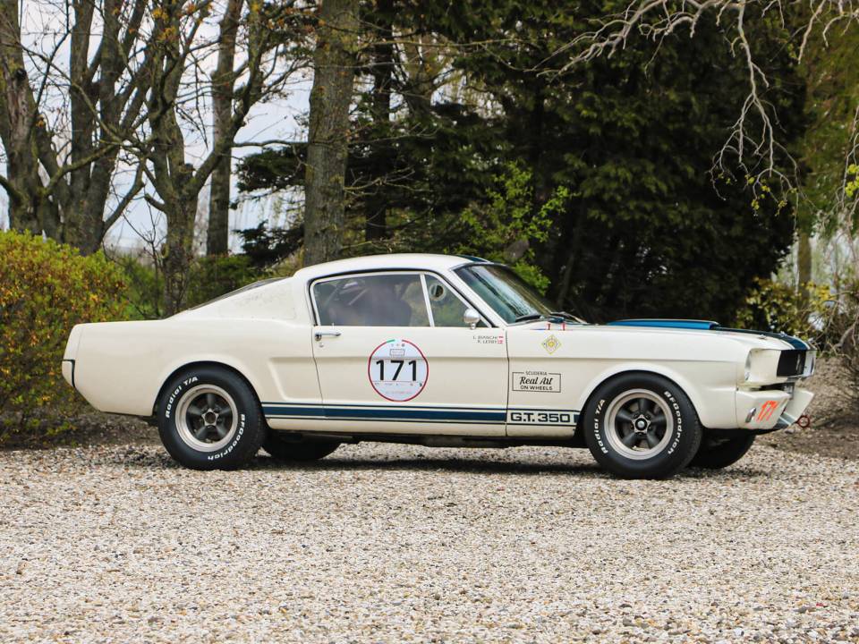 Image 6/31 de Ford Shelby GT 350 (1965)