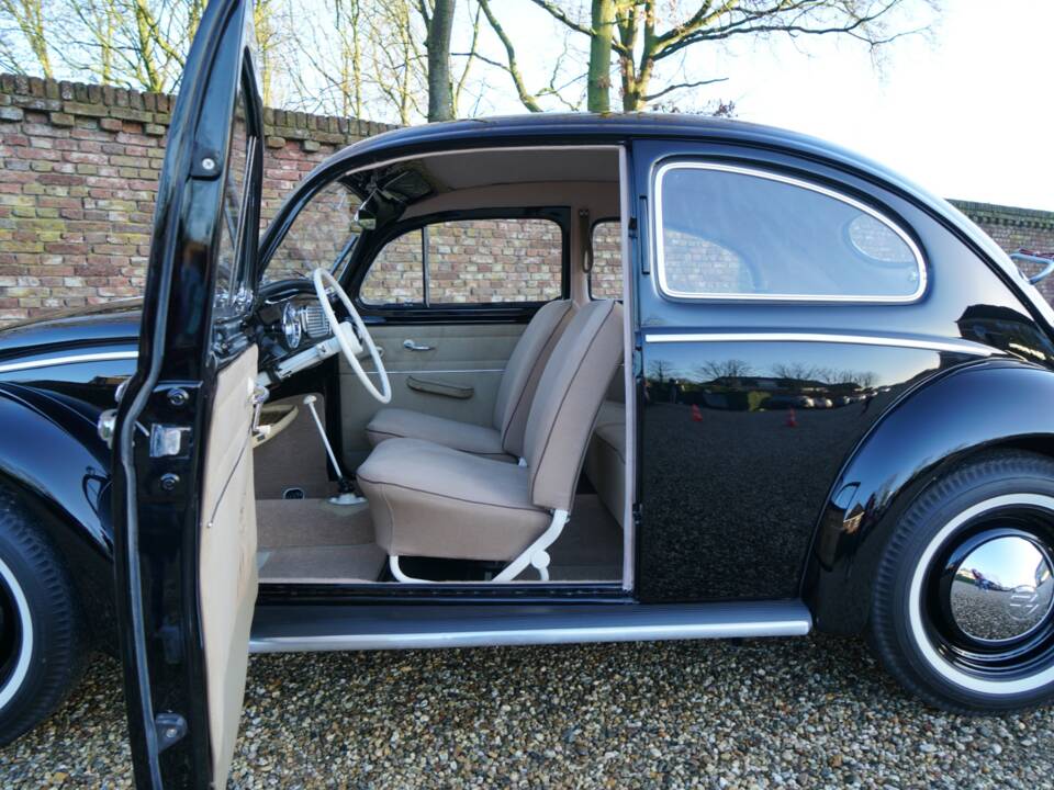 Image 22/50 of Volkswagen Beetle 1200 Standard "Oval" (1955)