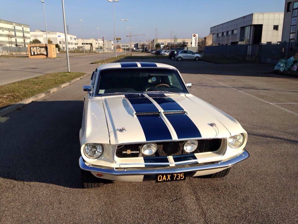 Image 6/53 of Ford Mustang GT 390 (1967)