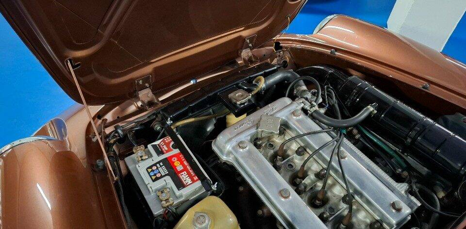 Image 14/45 of Alfa Romeo Spider Veloce 2000 (1981)