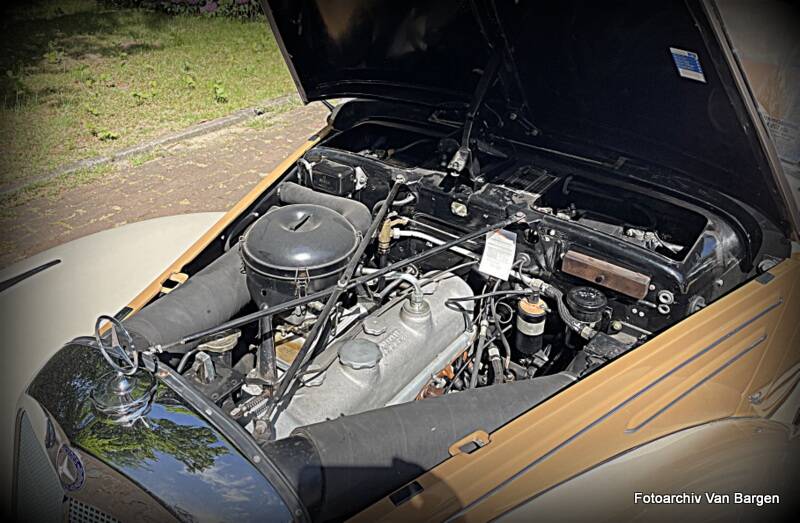 Image 18/38 of Mercedes-Benz 220 Cabriolet A (1954)