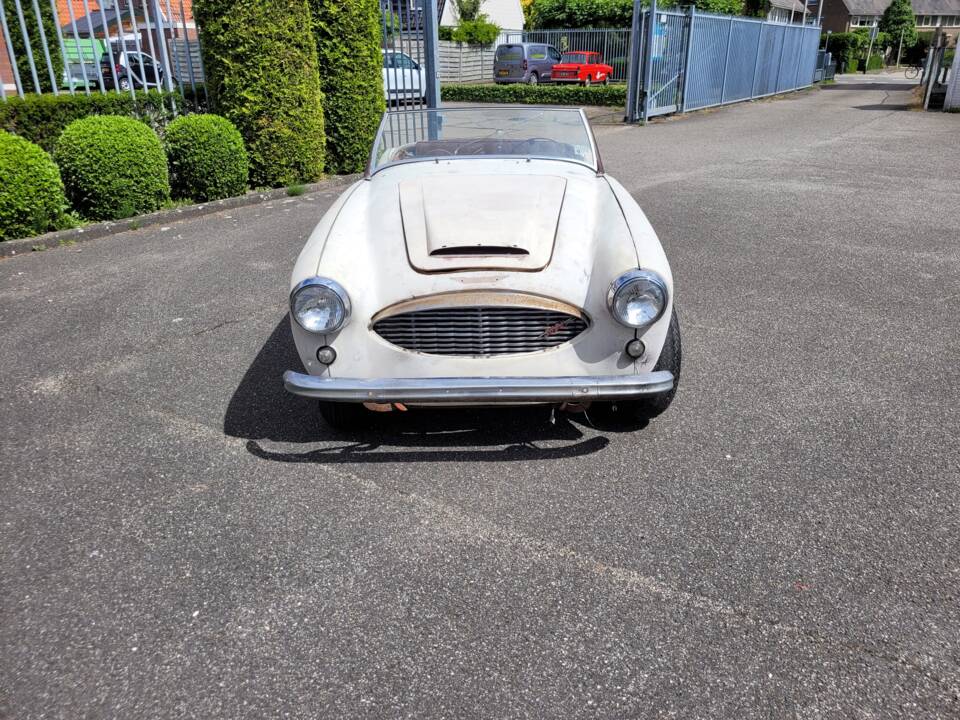 Bild 8/16 von Austin-Healey 3000 Mk I (BT7) (1960)