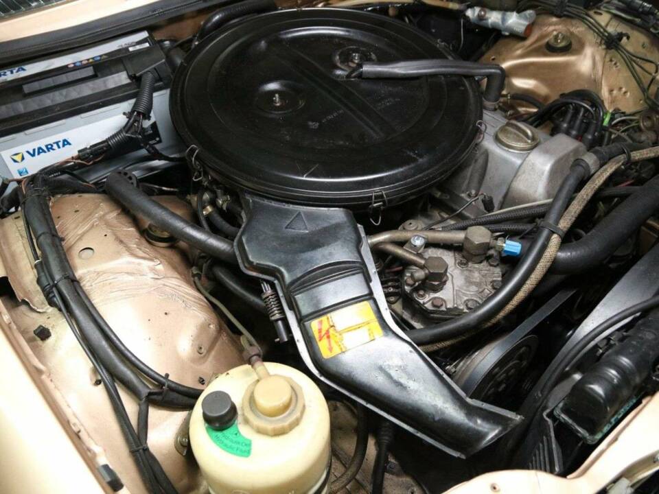 Bild 46/49 von Mercedes-Benz 250 lang (1985)