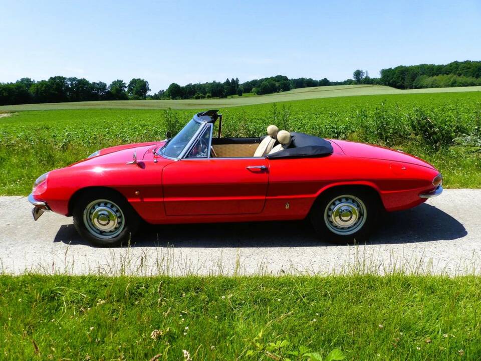 Alfa Romeo 1600 Spider Duetto 1966