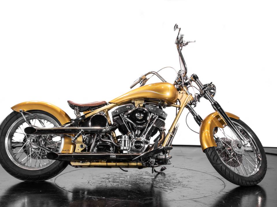 Image 2/37 of Harley-Davidson DUMMY (2009)