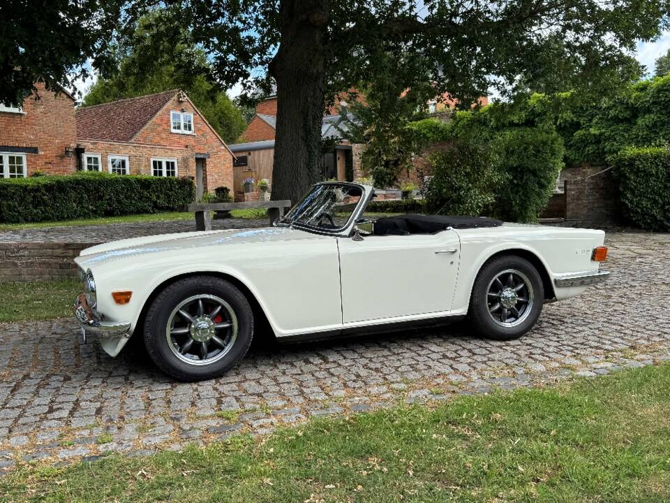 Image 1/30 of Triumph TR 6 PI (1970)