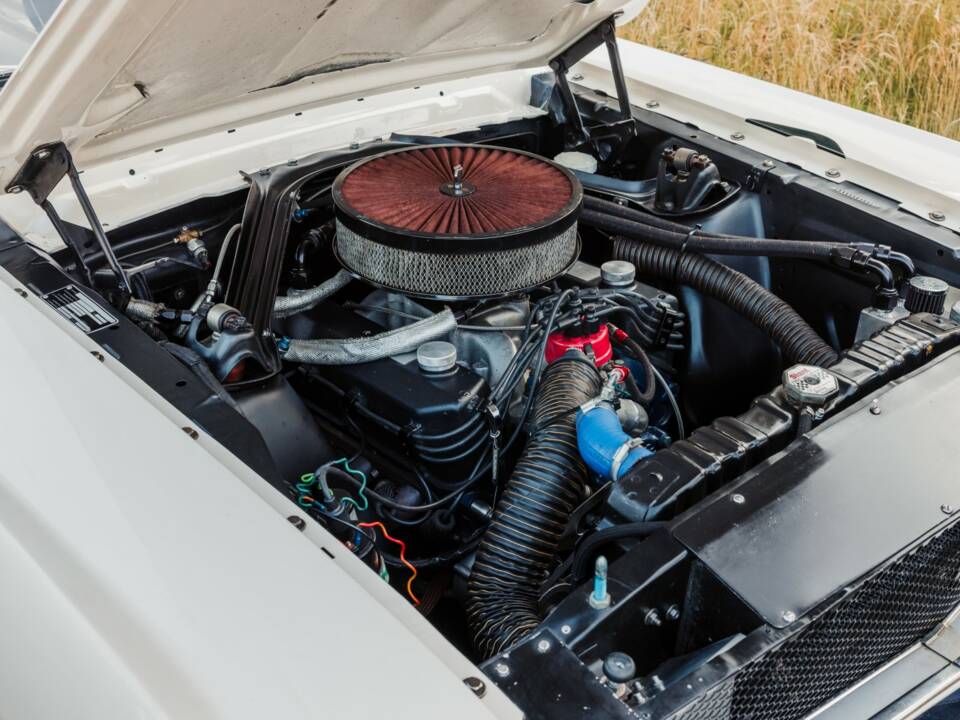 Imagen 15/19 de Ford Shelby GT 350 (1965)