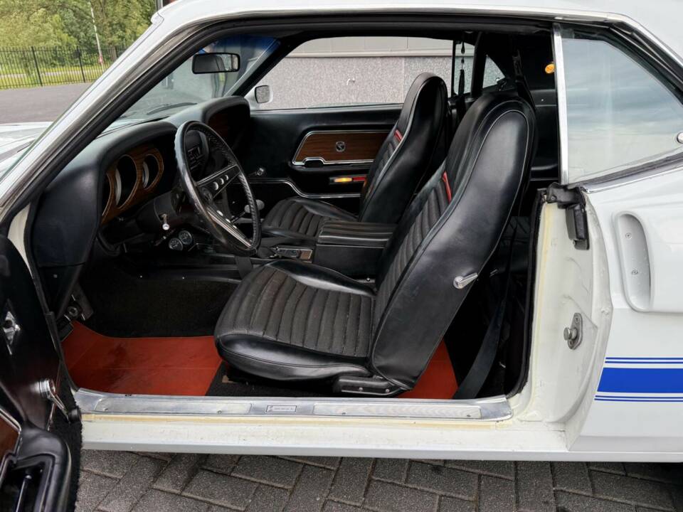 Image 22/50 de Ford Shelby GT 350 (1969)