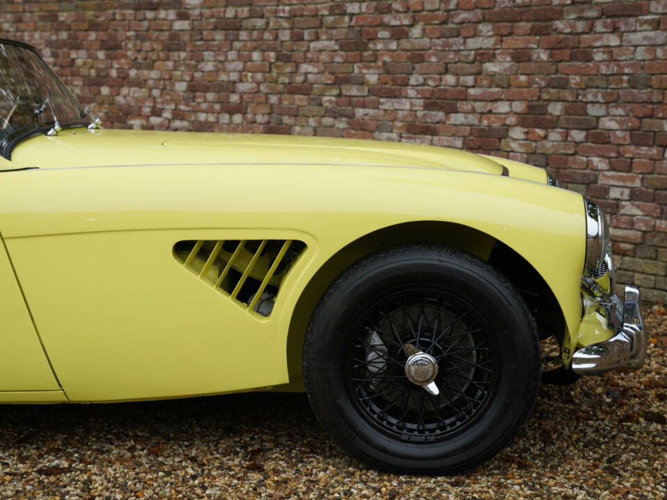 Immagine 35/50 di Austin-Healey 3000 Mk I (BT7) (1960)