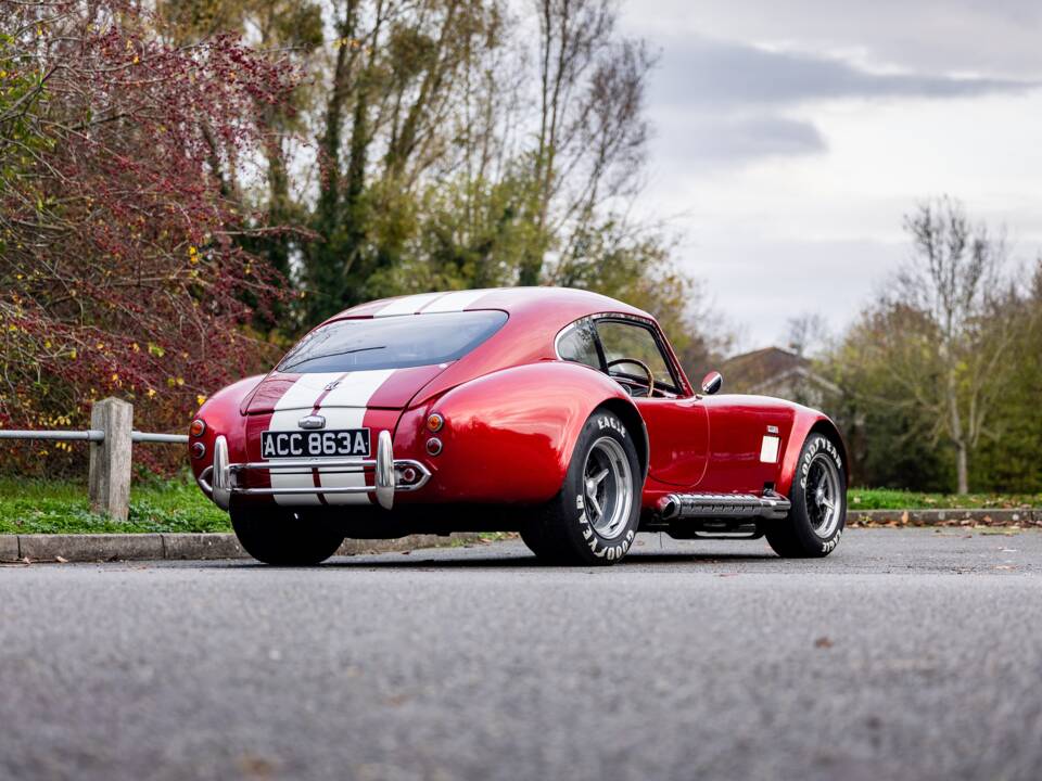 Afbeelding 4/50 van AC Cobra 289 (2000)