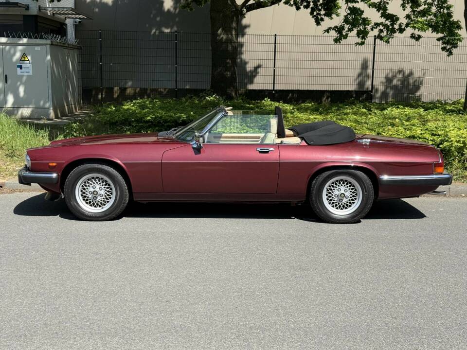 Bild 9/17 von Jaguar XJS 5.3 V12 (1989)