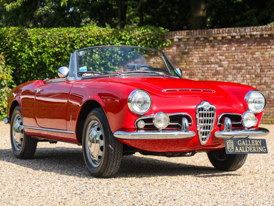 Bild 25/50 von Alfa Romeo Giulia 1600 Spider Veloce (1965)