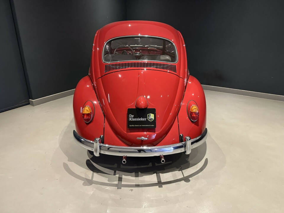 Bild 6/20 von Volkswagen Beetle 1200 Standard &quot;Dickholmer&quot; (1963)