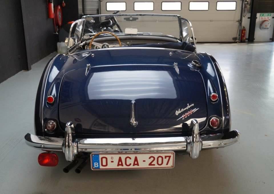 Bild 42/50 von Austin-Healey 3000 Mk II (BN7) (1961)