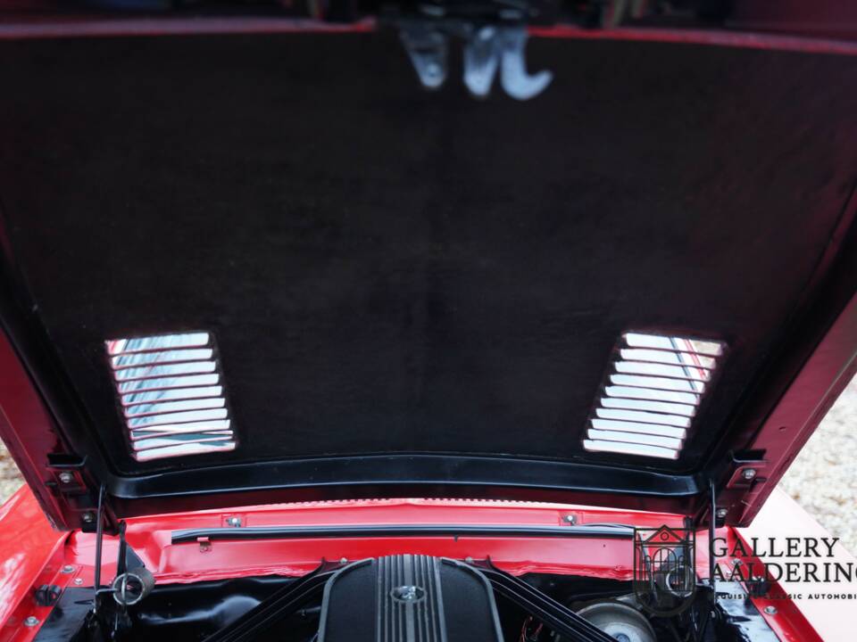 Bild 50/50 von Ford Shelby GT 350 (1968)