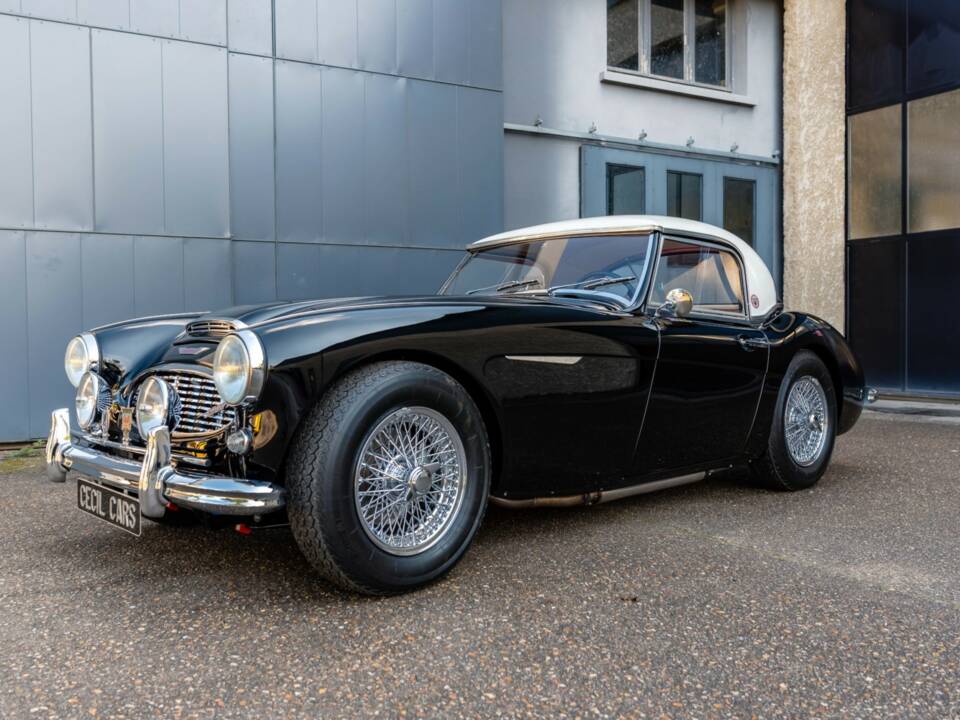 Bild 2/50 von Austin-Healey 3000 Mk II (BN7) (1962)