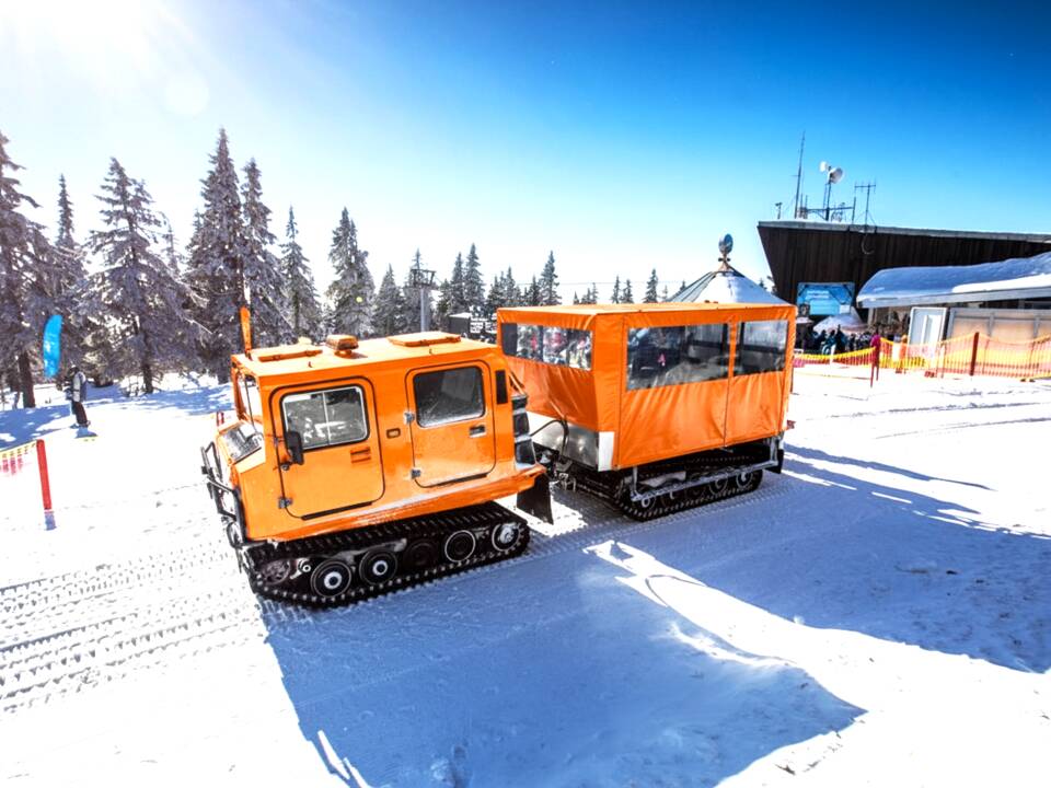 Immagine 1/16 di Hägglunds Bandvagn BV 206 (1988)