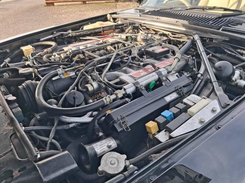 Image 3/41 de Jaguar XJRS 6.0 (1990)