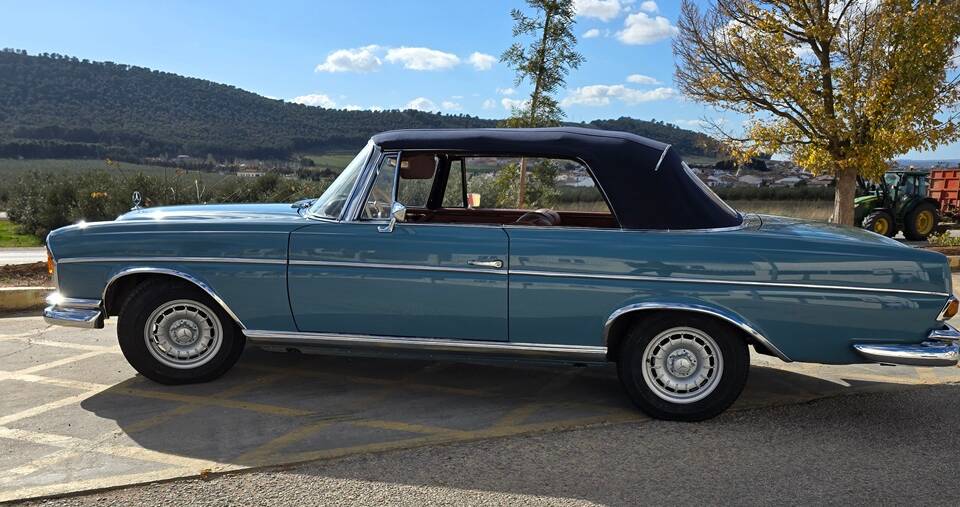 Immagine 9/40 di Mercedes-Benz 300 SE (1964)
