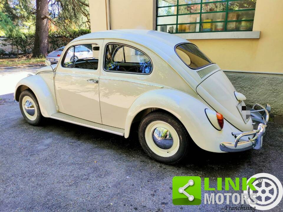 Immagine 7/10 di Volkswagen Coccinelle 1200 Export &quot;Dickholmer&quot; (1963)