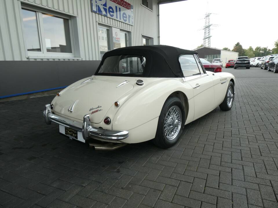 Immagine 4/28 di Austin-Healey 3000 Mk III (BJ8) (1966)