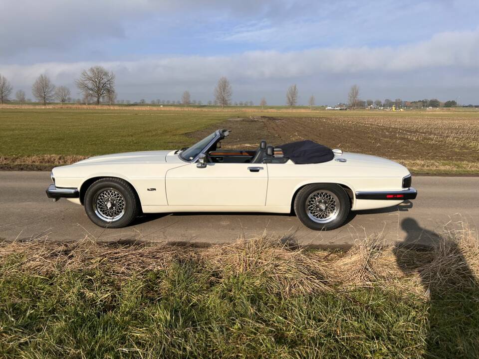 Image 5/8 de Jaguar XJS 5.3 V12 (1992)