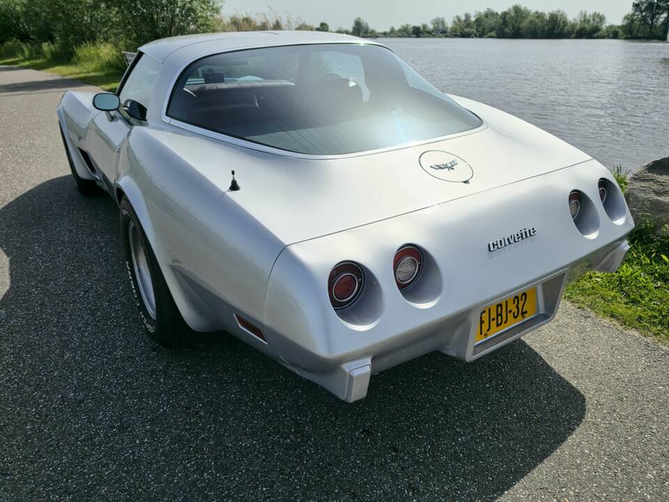 Afbeelding 8/8 van Chevrolet Corvette Sting Ray (1979)
