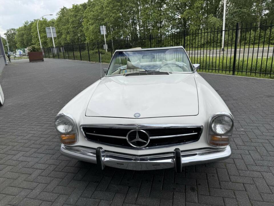 Image 8/50 of Mercedes-Benz 280 SL (1969)