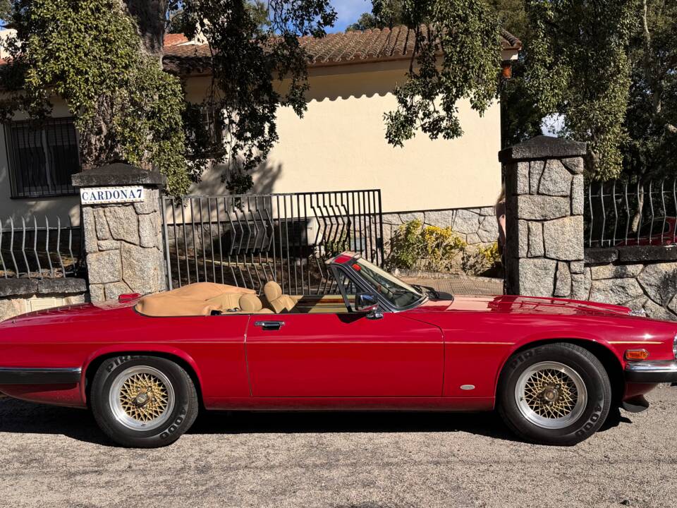 Bild 48/62 von Jaguar XJ-S Convertible (1988)