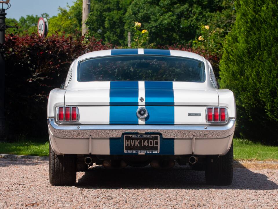 Bild 14/50 von Ford Shelby GT 350 (1965)