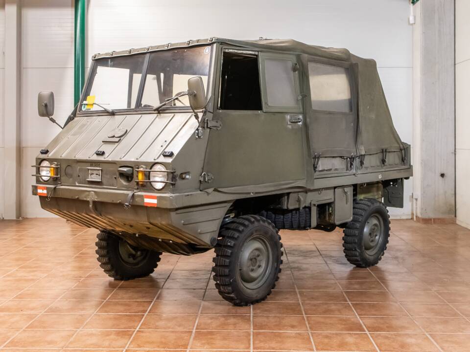 Bild 1/21 von Steyr-Puch Haflinger 700 AP (1960)