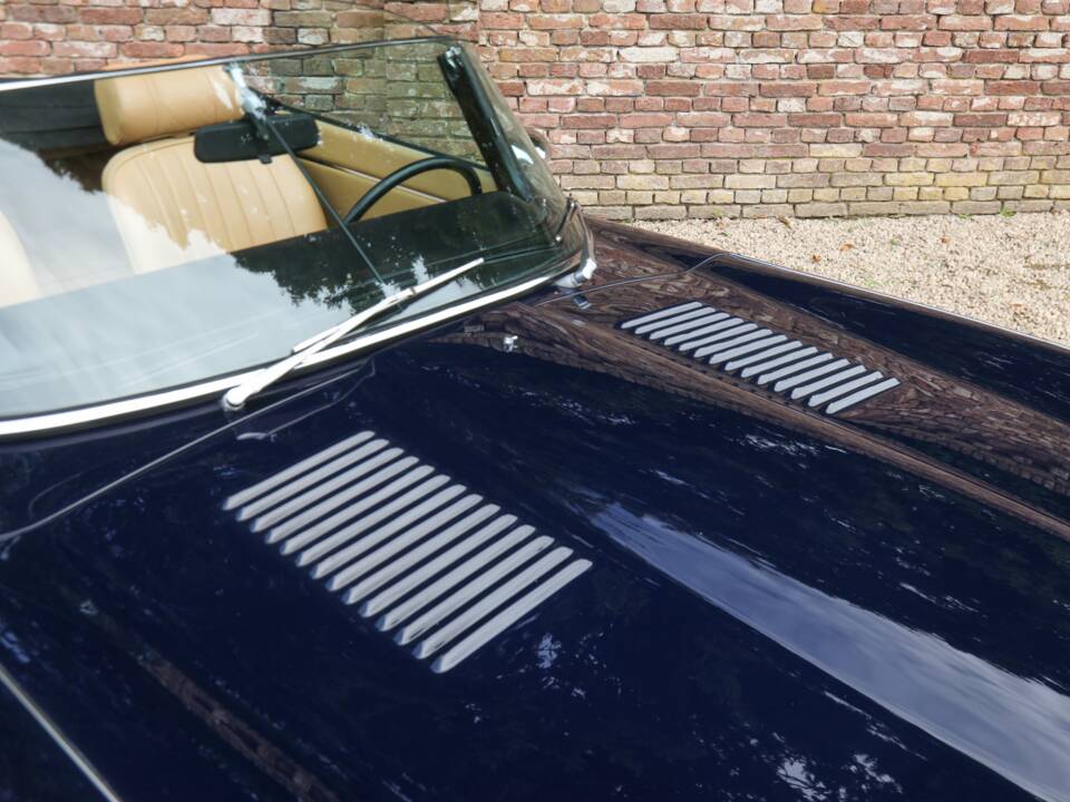 Obraz 44/50 pojazdu Jaguar E-Type V12 (1973)