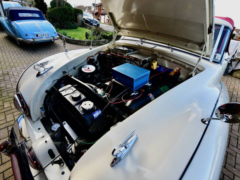 Image 20/41 of Austin A 90 Atlantic Convertible (1950)