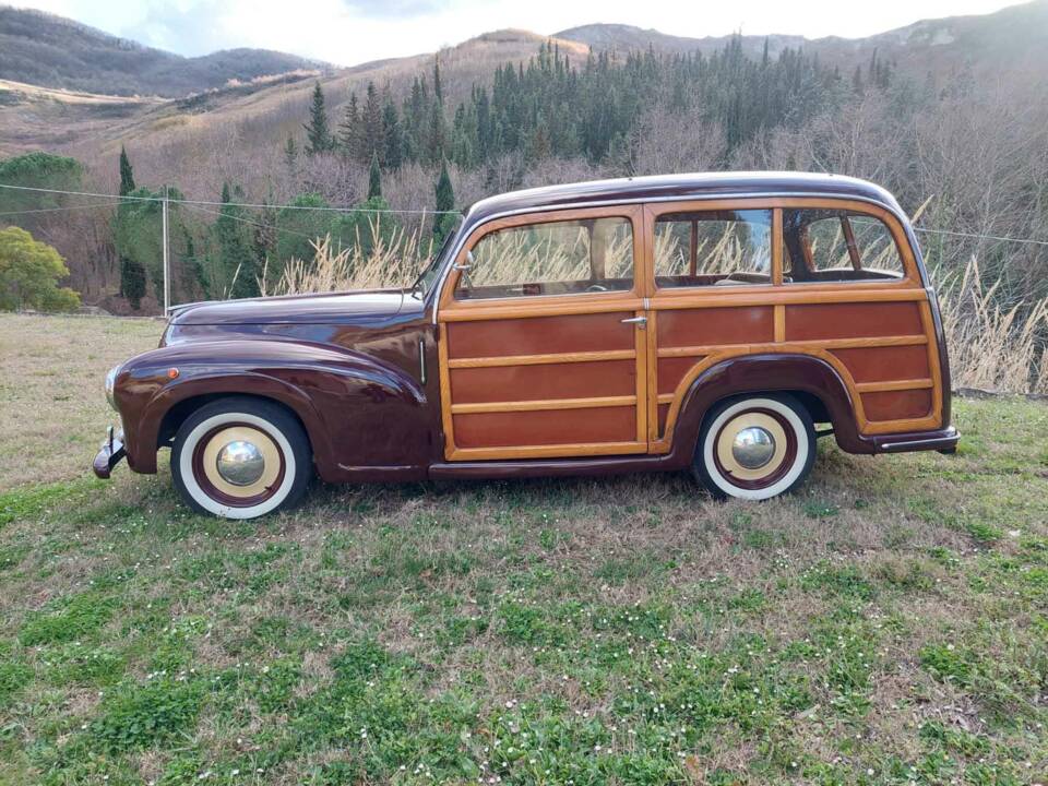 Image 67/93 of FIAT 1100-103 Familiare Viotti (1949)