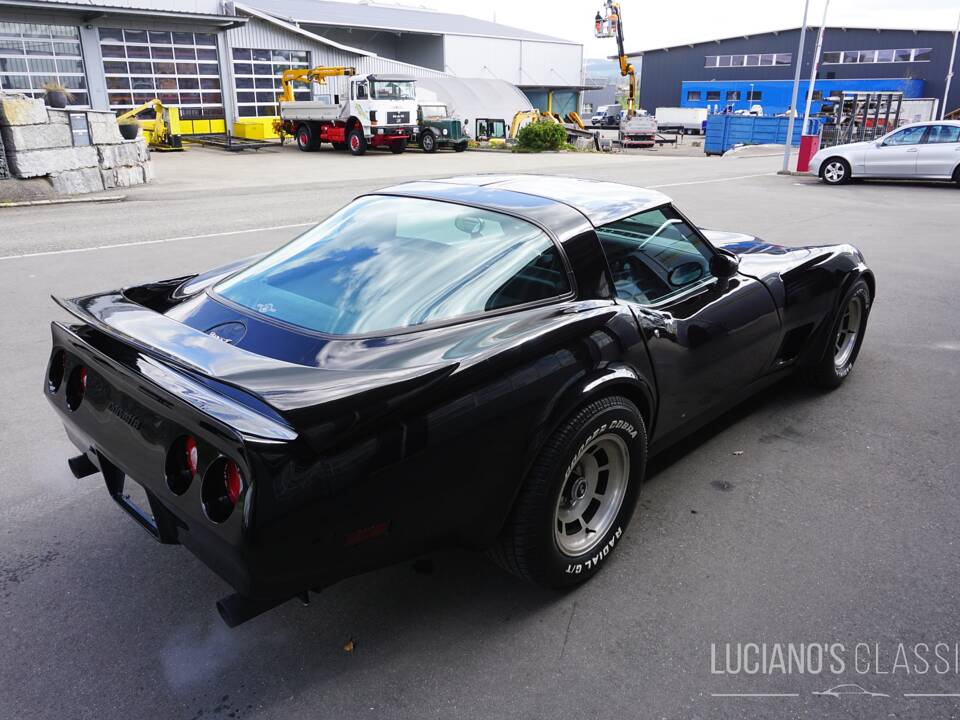 Bild 9/58 von Chevrolet Corvette Sting Ray (1979)
