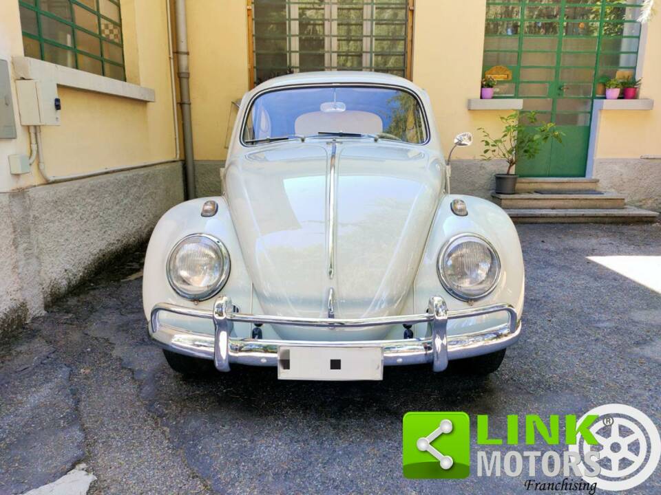 Image 2/10 of Volkswagen Coccinelle 1200 Export &quot;Dickholmer&quot; (1963)