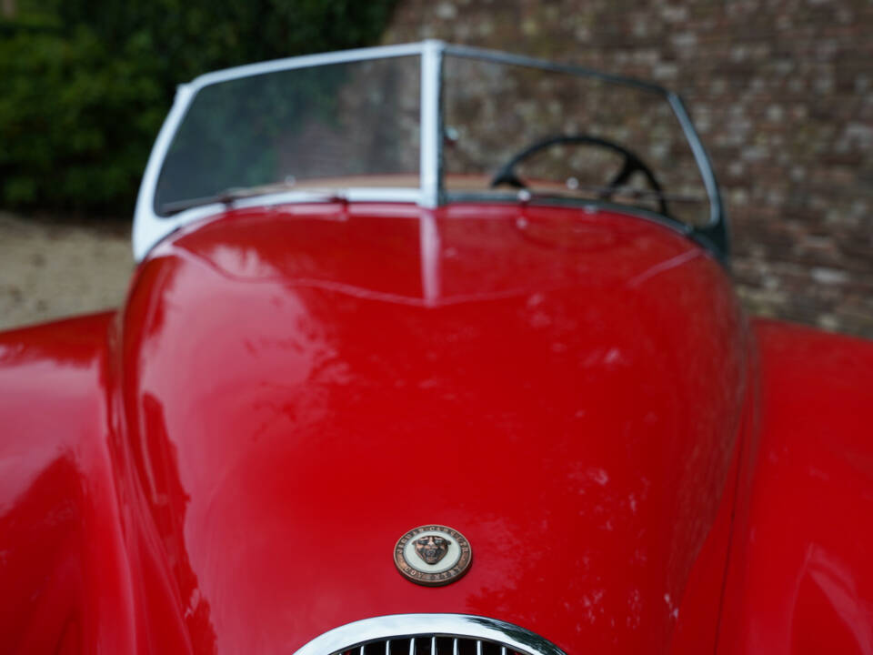 Image 20/50 of Jaguar XK 120 OTS (1954)