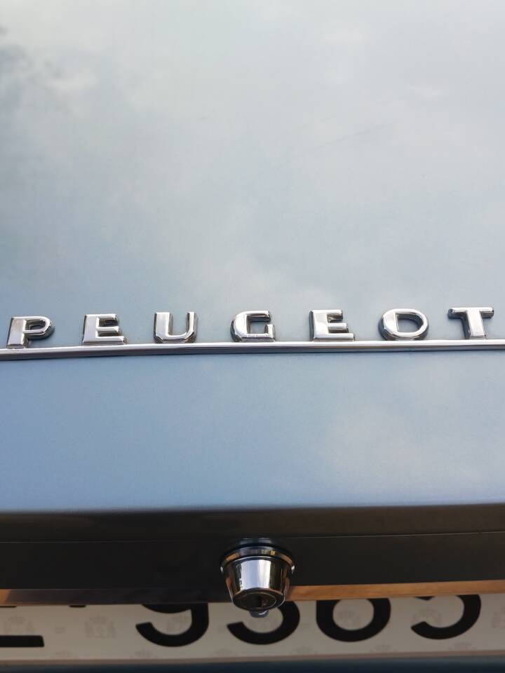 Bild 12/52 von Peugeot 504 (1979)
