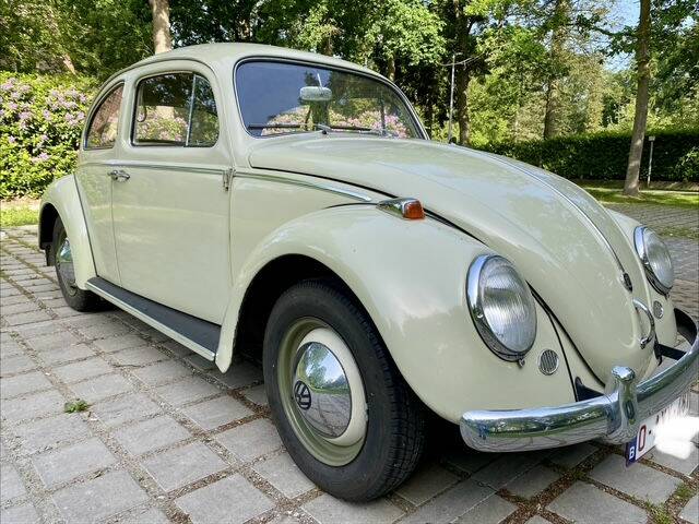 Image 1/6 of Volkswagen Beetle 1200 Standard "Dickholmer" (1960)