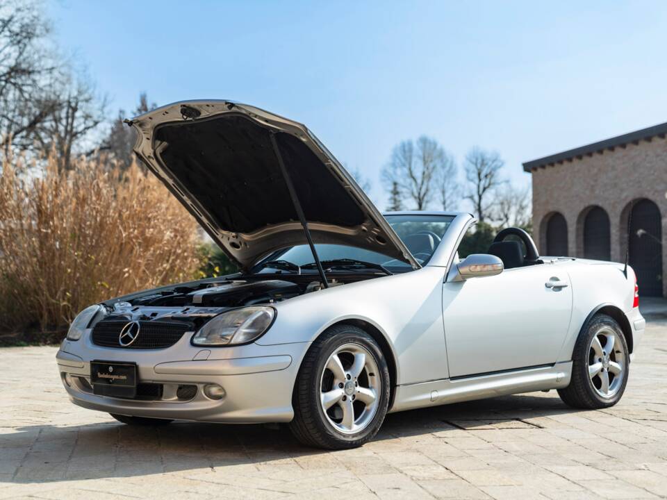 Obraz 39/48 pojazdu Mercedes-Benz SLK 320 (2001)