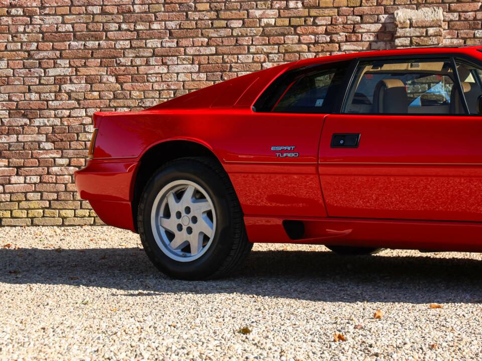 Image 40/50 of Lotus Esprit SE (1992)