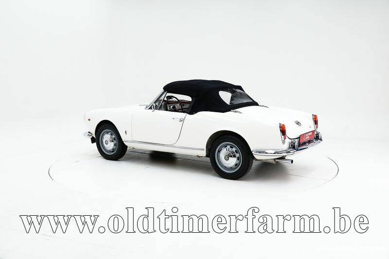 Image 29/30 de Alfa Romeo Giulia 1600 Spider Veloce (1965)