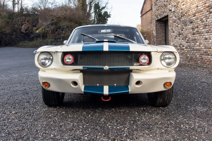 Afbeelding 11/48 van Ford Shelby GT 350 (1965)