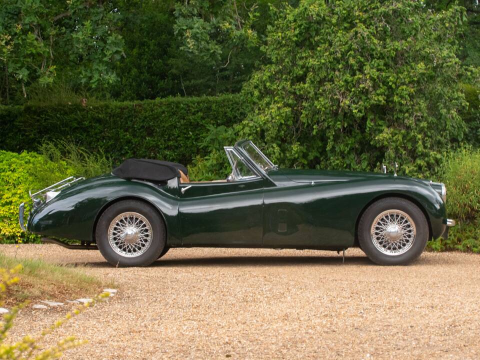 Bild 16/50 von Jaguar XK 120 DHC (1954)