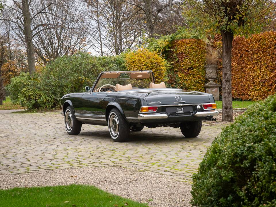 Imagen 4/30 de Mercedes-Benz 250 SL (1967)