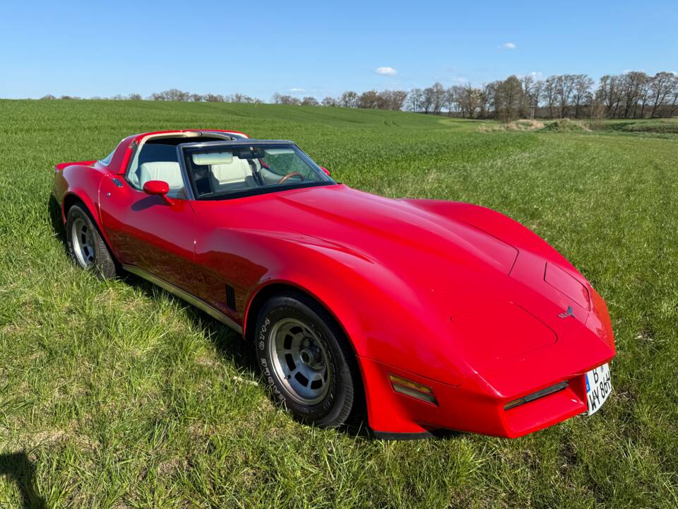 Image 8/20 of Chevrolet Corvette Sting Ray (1980)