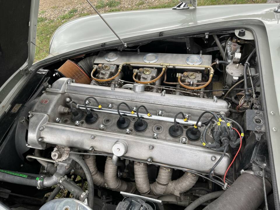 Bild 13/50 von Aston Martin DB 6 Vantage (1966)